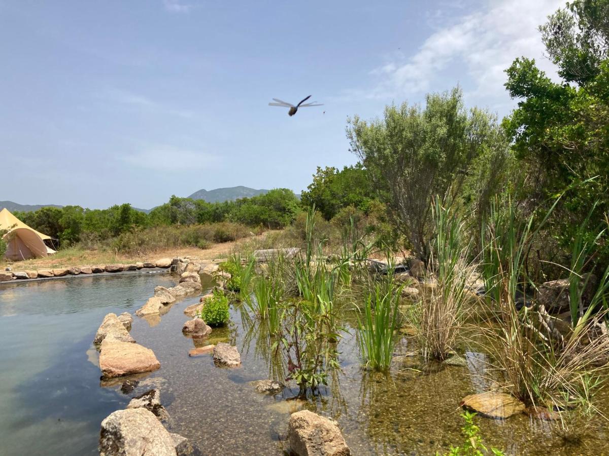 Hotel Ecovita Agri-Glamping à San Vito  Extérieur photo