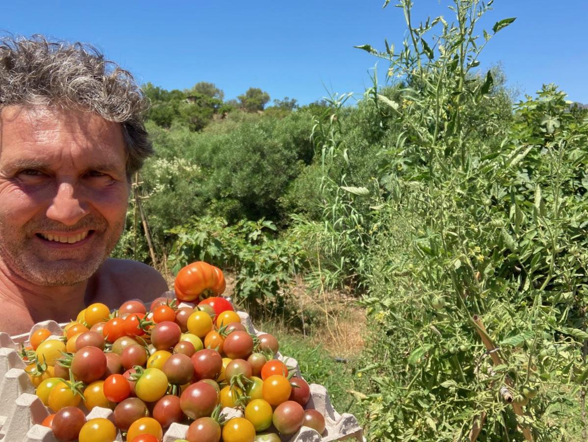 Hotel Ecovita Agri-Glamping à San Vito  Extérieur photo